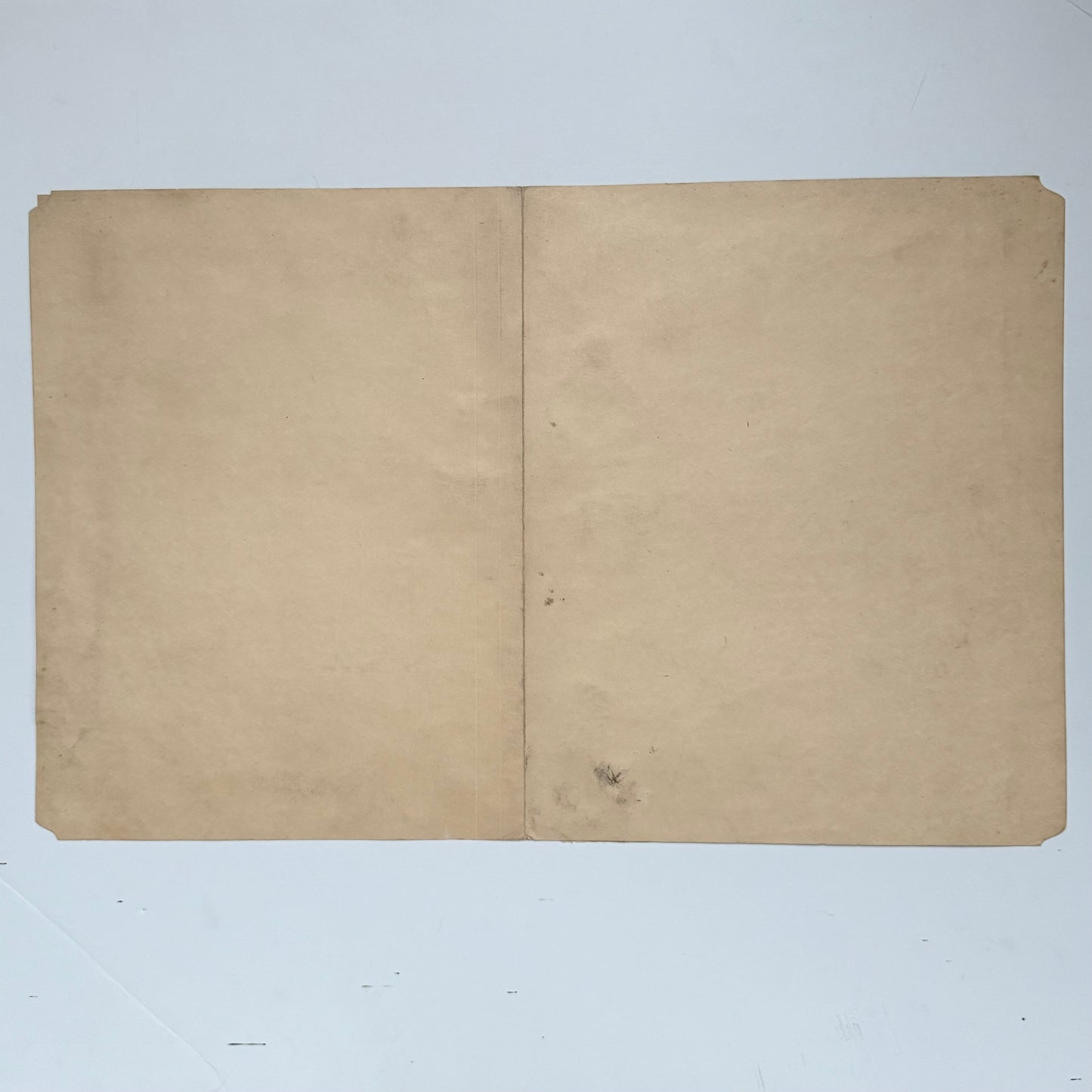 Justin McCarthy Drawing Mounted on File Folder