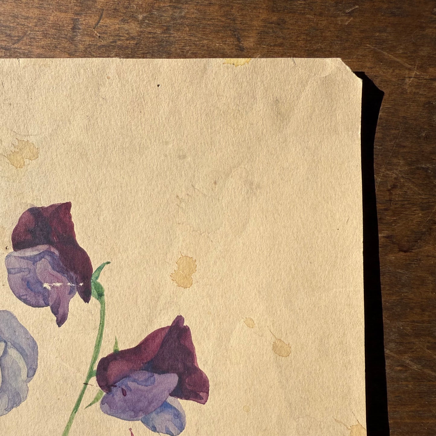 Pair French Watercolors