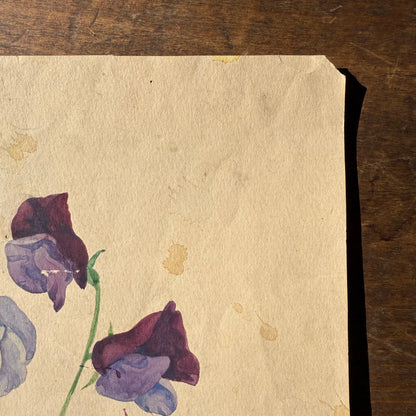 Pair French Watercolors