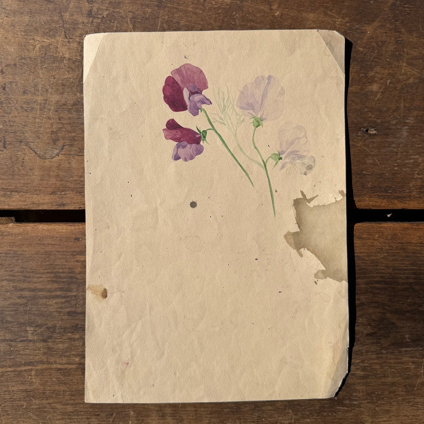 Pair French Watercolors