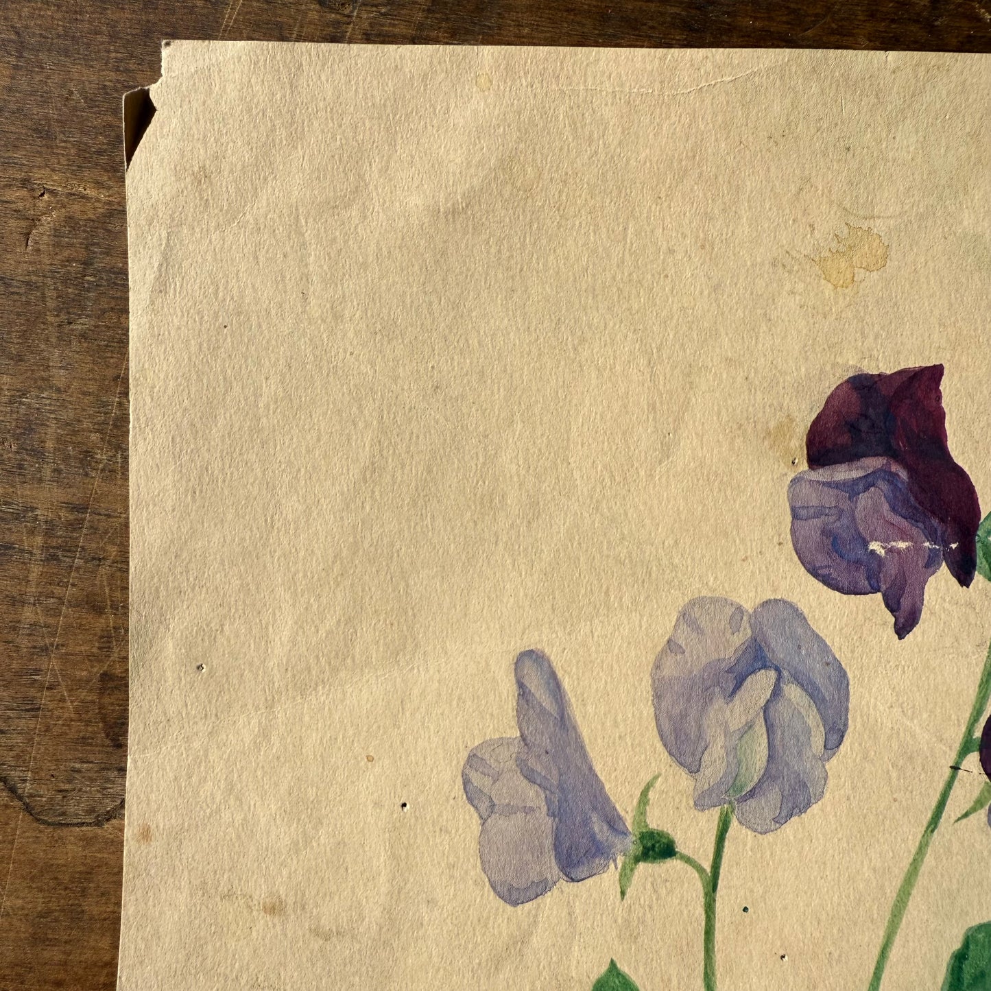 Pair French Watercolors