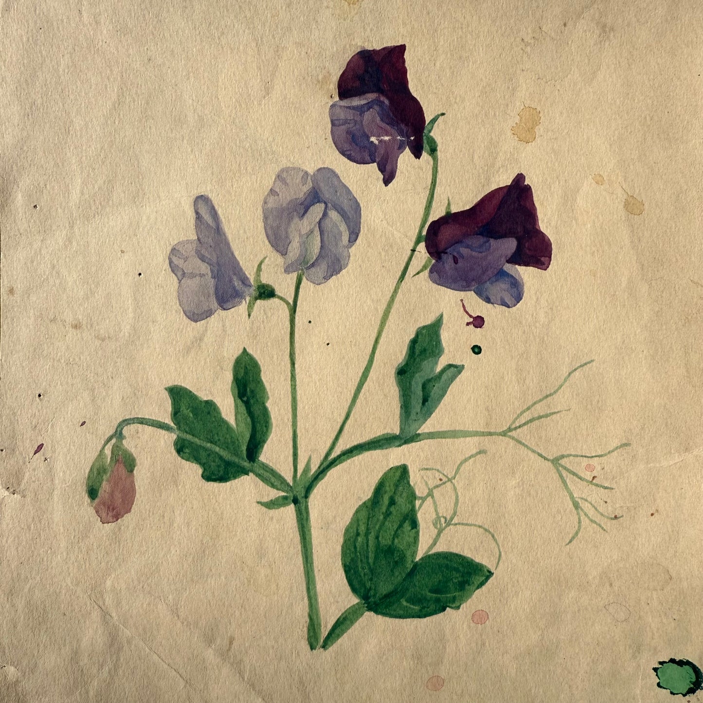 Pair French Watercolors