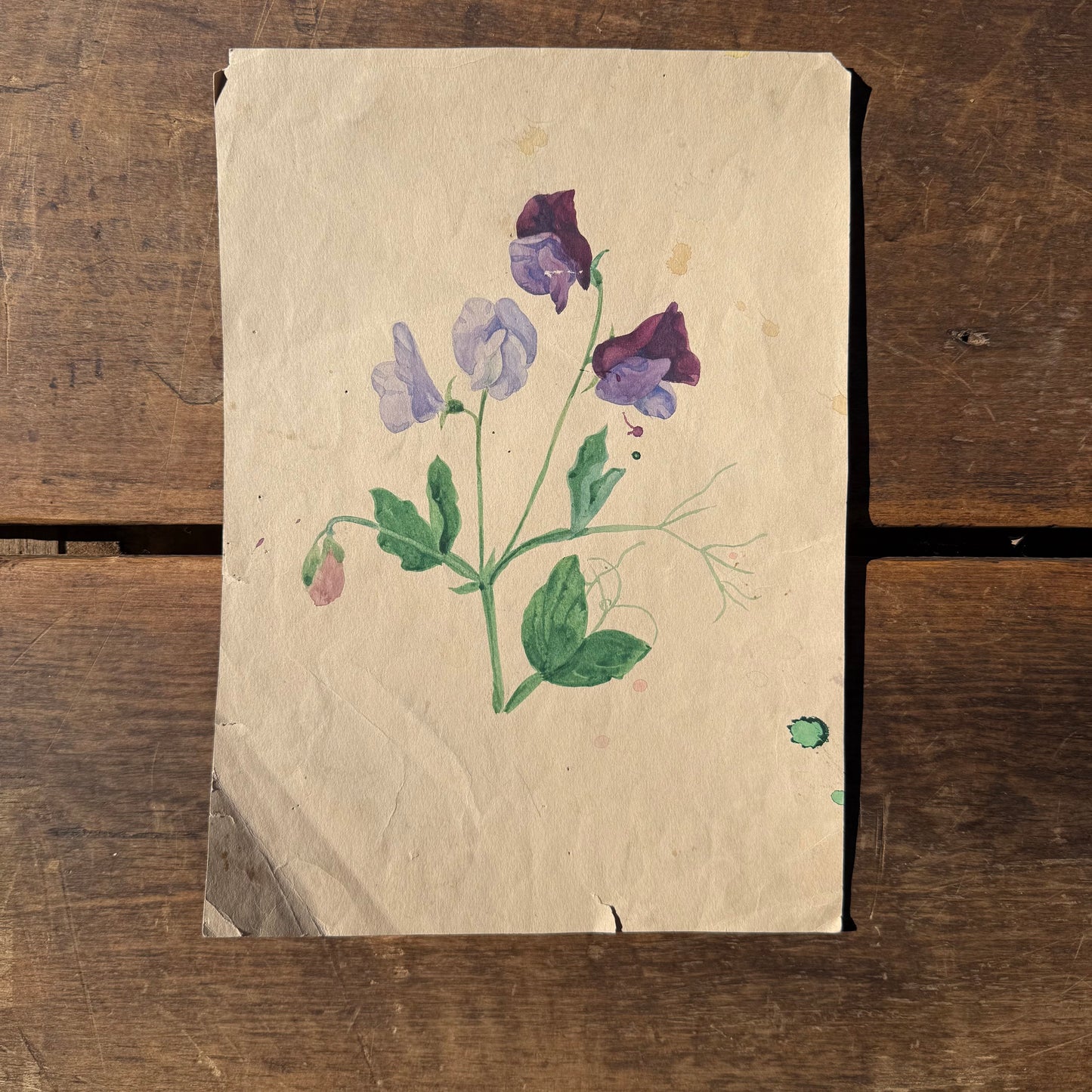 Pair French Watercolors