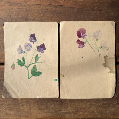 Pair French Watercolors