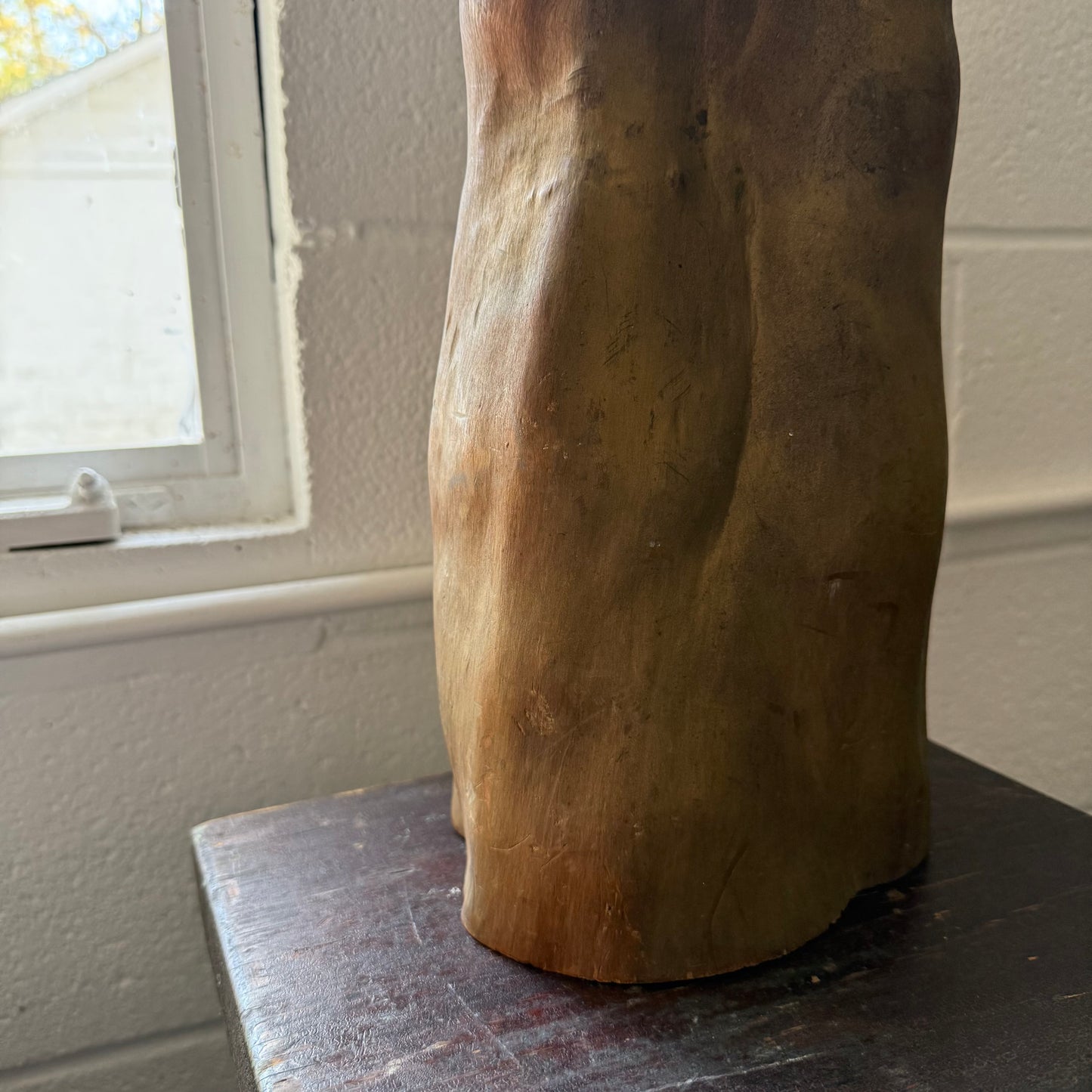 Gilded Cypress Knee